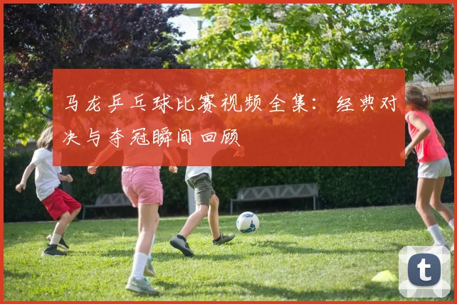 马龙乒乓球比赛视频全集：经典对决与夺冠瞬间回顾